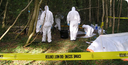 Criminal Investigation