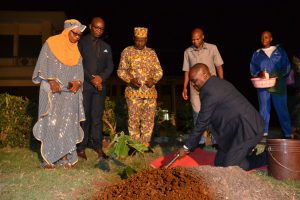 Tree Planting for New Year